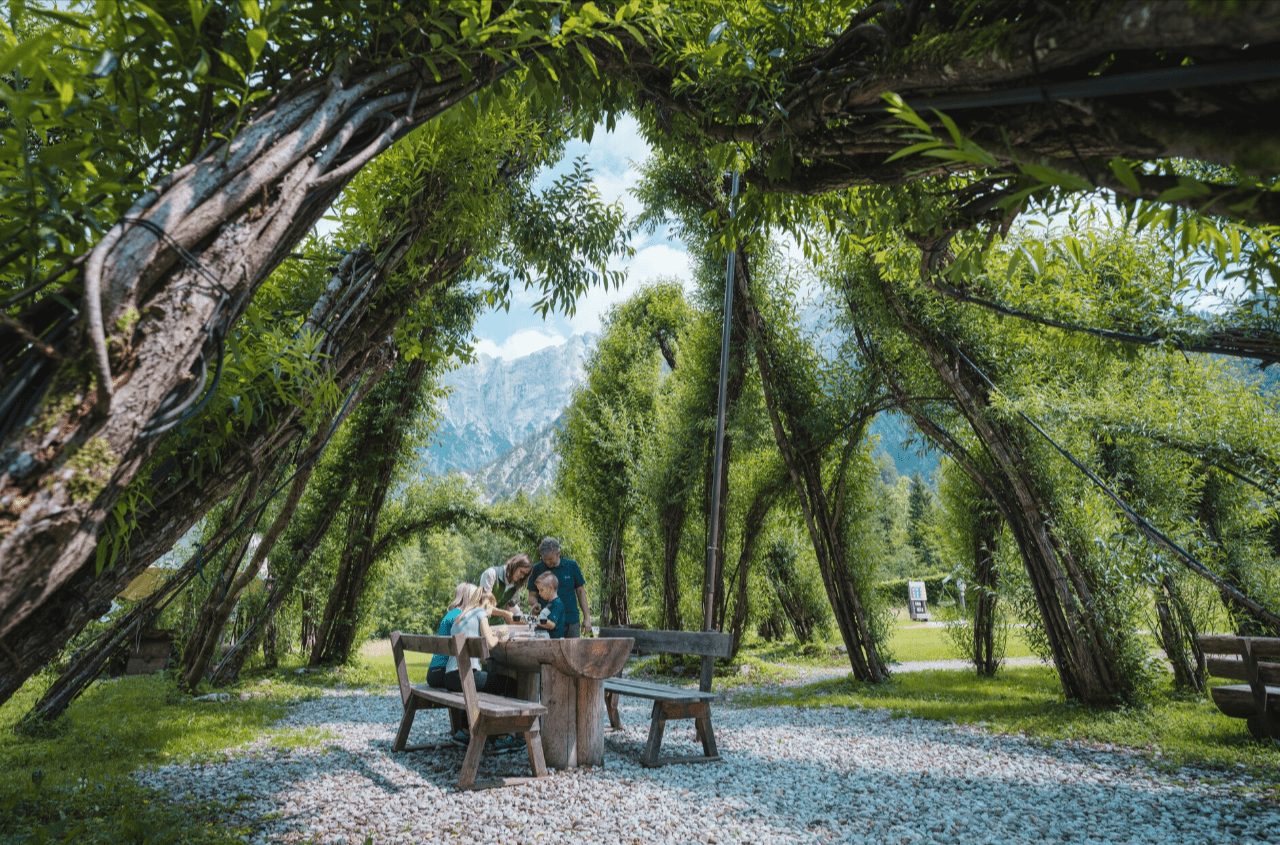 Hiking the Gesäuse National Park from Admont: A Nature Lover’s Dream